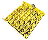 Інкубатор автоматичний (HHD 56 220/12V), фото 4