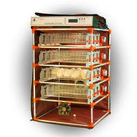 Zoom Goose 112 із зволожувачем, для гусей з автоматичними лотками перевороту яєць і вивідними лотками