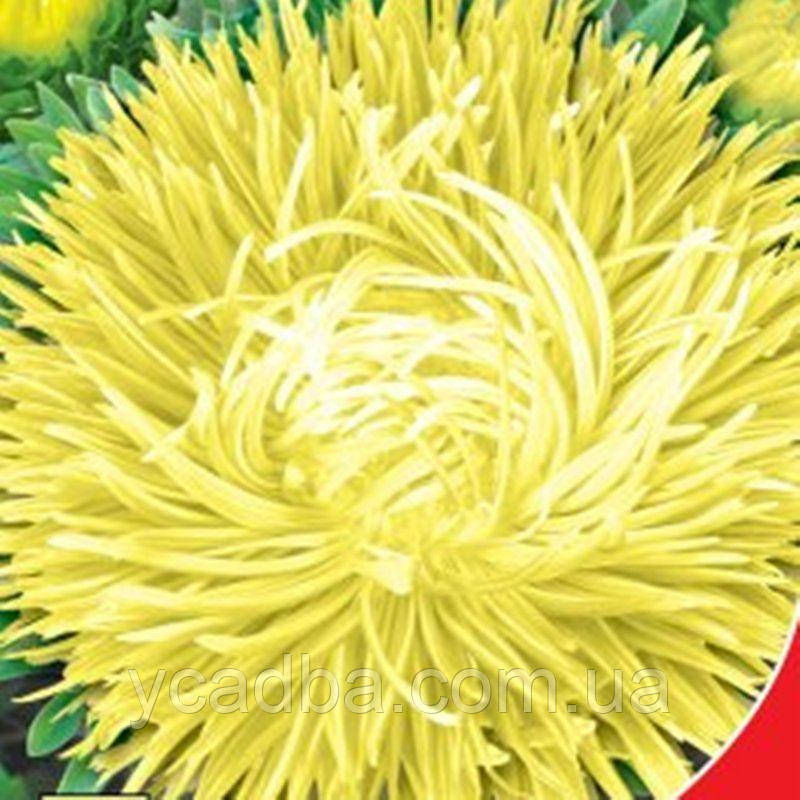 Насіння Айстри Золотий дракон (0.3г), фото 1