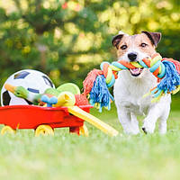 Товари для тварин