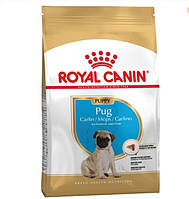 Корм д/щінків Роял Royal Canin BHN PUG PUPPY мопс 1,5 кг 41300151