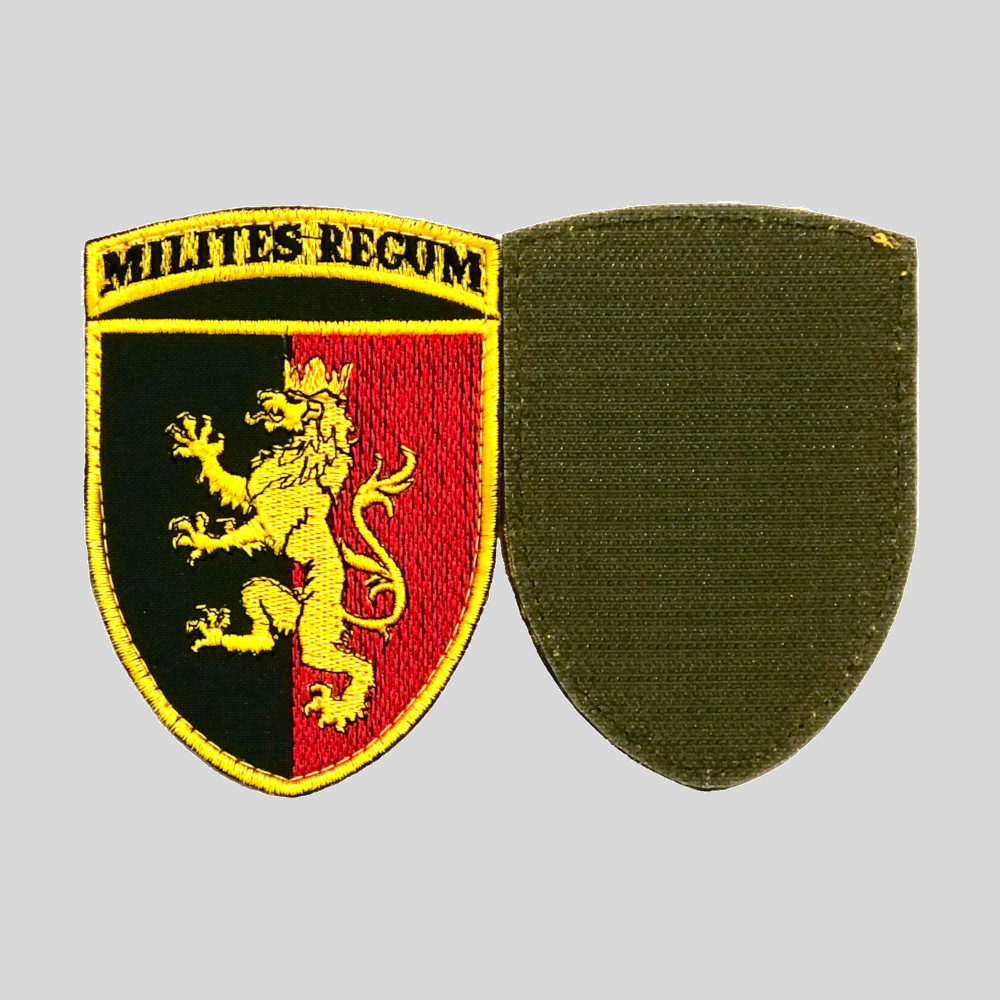 Шеврон 24 Отдельной Механизированной Бригады Имени Короля Даниила (24 ...