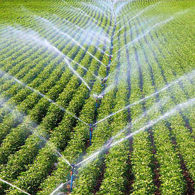 Все Для Поливу