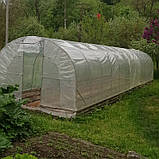 Теплиця "Світлиця - 10" 3х10х2м, труба 20х20х1 мм з плівкою 150 мкм і зигзаг профілем, фото 3