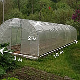 Теплиця "Світлиця - 10" 3х10х2м, труба 20х20х1 мм з плівкою 150 мкм і зигзаг профілем, фото 2