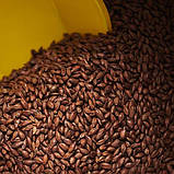 Солод ячмінний Carafa II type - Карафа 2 тип 0,5 кг - Weyermann Німеччина, фото 2