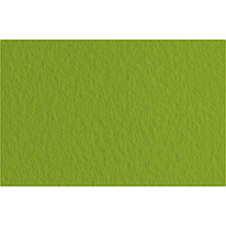 Папір для пастелі Tiziano A3 29,7x42 см фісташковий No 43 160 г/м2 середнє зерно Fabriano, 72942143