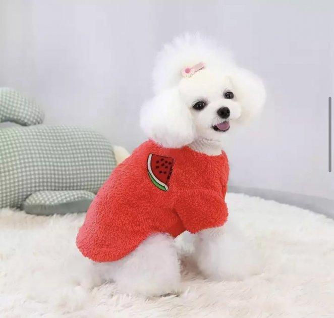 Махровий светр для собак Pet Style "Кавун" Червоний XS