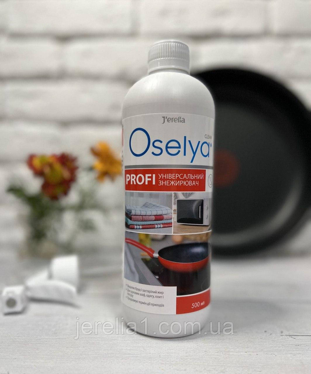 Універсальний професійний засіб "АнтиЖир", 500 мл, фото 1