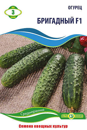 Насіння огірка «Бригадний F1» 3 г, фото 1