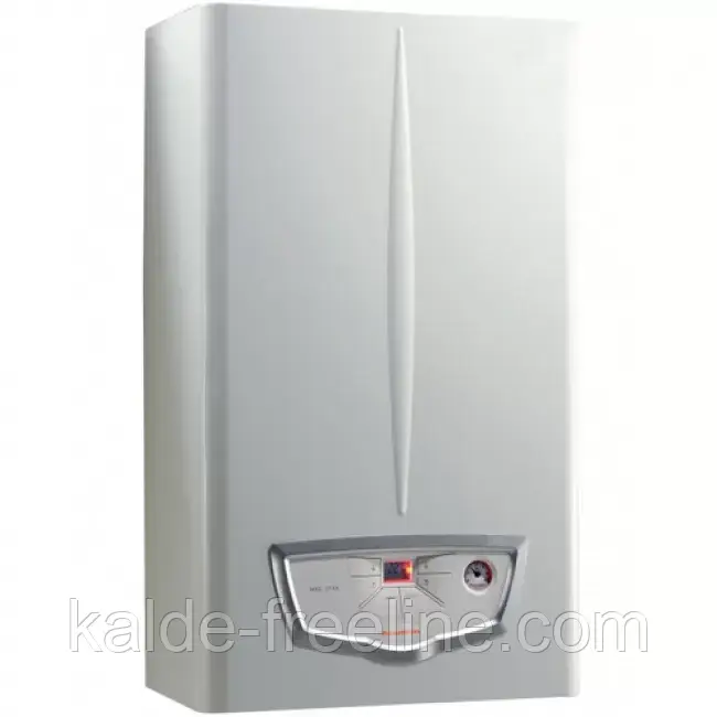 Котел газовий Immergas Nike Mythos 24 2E (димохід)