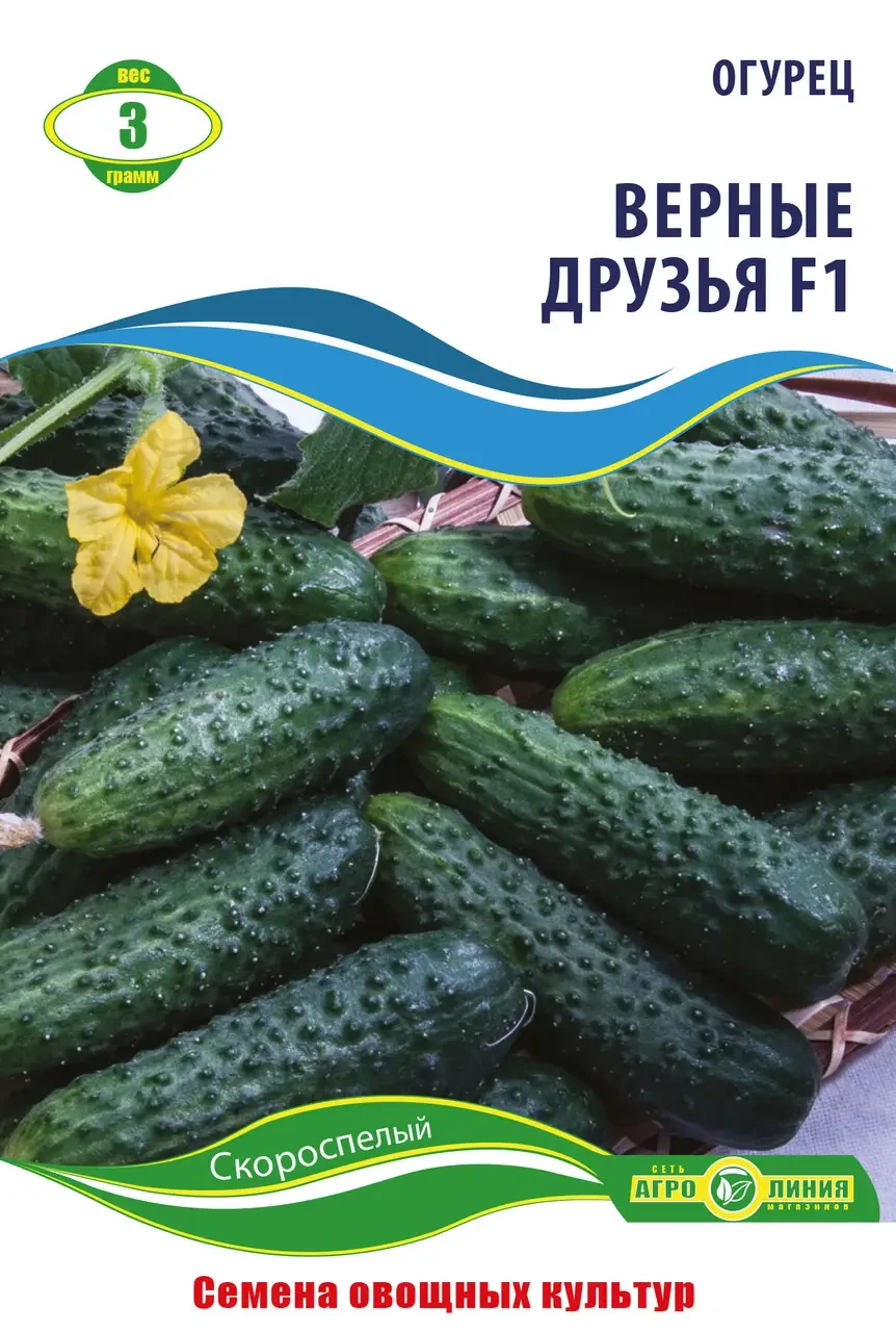Насіння огірка «Вірні Друзі F1» 3 г