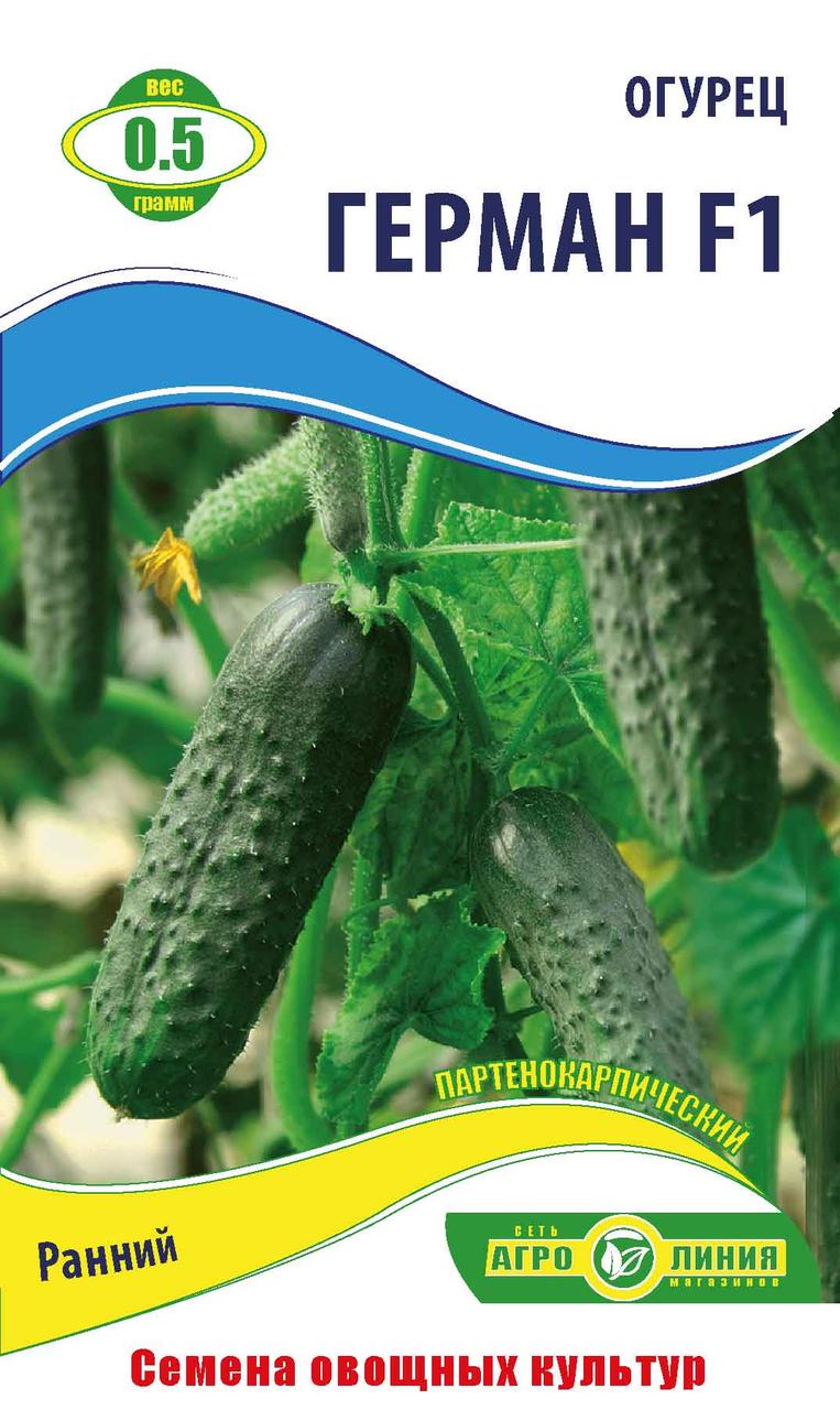 Насіння огірка «Герман F1» 0.5 г, партенокарпічний
