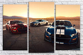 Модульна картина на полотні з 3-х частин "Мустанги"