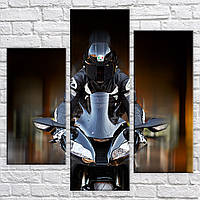 Модульна картина на полотні з 3-х частин "Байкер"