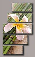 Модульна картина на полотні з 5-ти частин "Квітка на тростині"