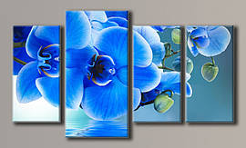 Модульна картина на полотні із 4-х частин "Сині орхідеї"