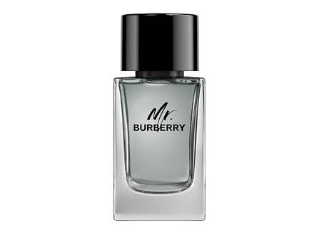 Burberry Mr. Burberry 100ml