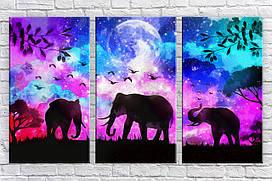 Модульна картина на полотні з 3-х частин "Стильні слони"