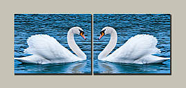 Модульна картина на полотні з 2-х частин "Лебеді"