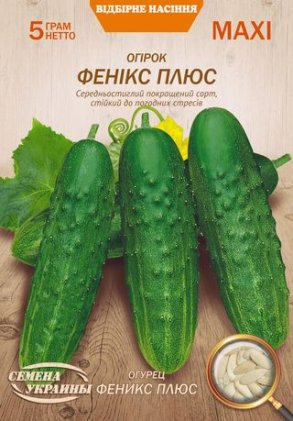 Огірок Фенікс Плюс Насіння України 5г МАКСІ