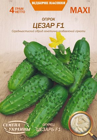 Огірок Цезар 4г Насіння України Максі