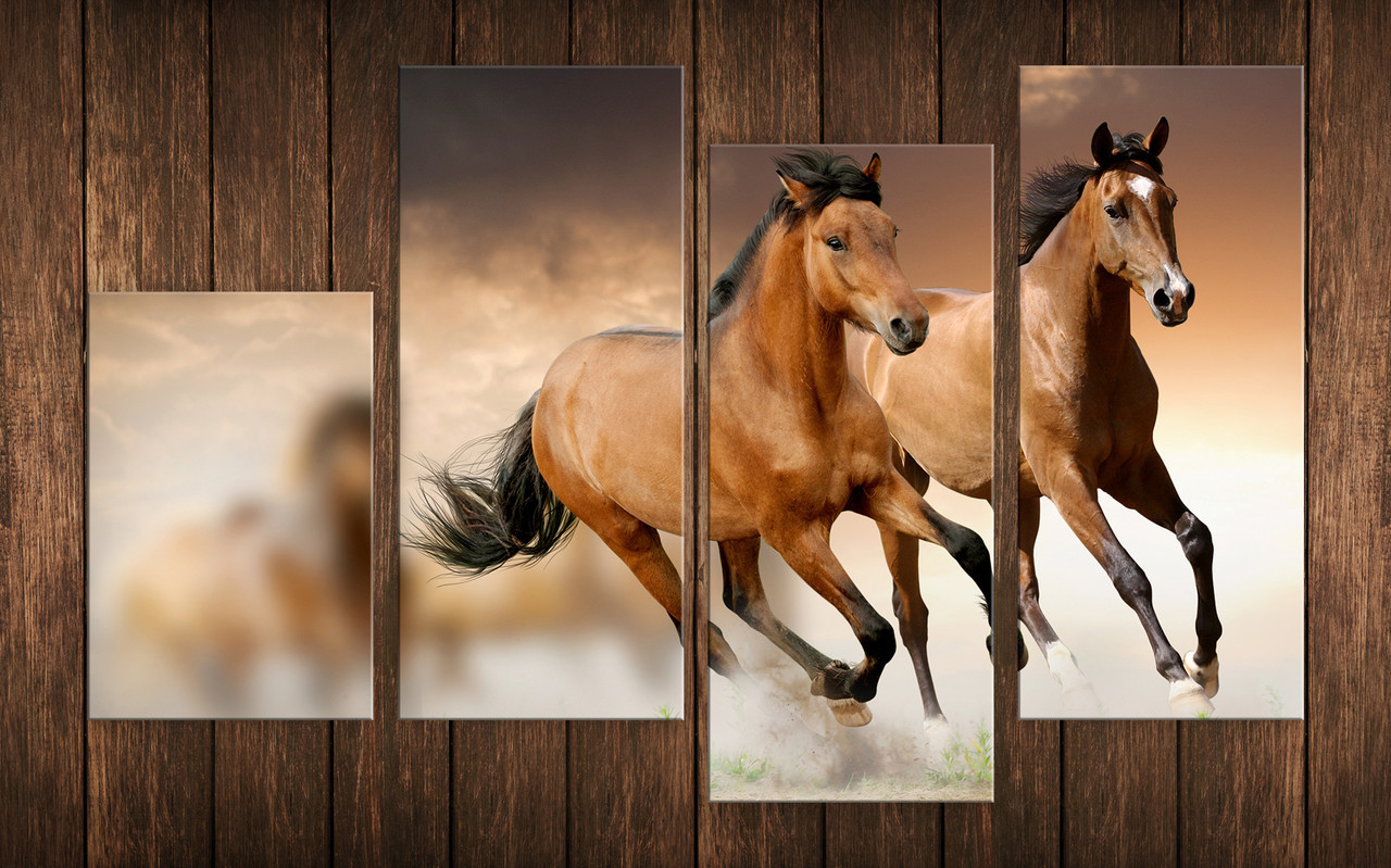 Модульна картина на полотні з 4-х частин "Коні"