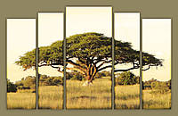 Модульная картина на холсте из 5-ти частей "Африканское дерево"