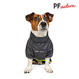 Дощовик для собак RAIN, фото 4