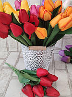Букет червоних тюльпаныв, 7 голівок квітів, h букету-35 см