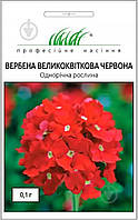 Вербена великоквіткова червона 0,1гр Професійне насіння Нидерланды
