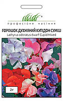 Горошок духм'яний купідон суміш 2 гр Професійне насіння Нидерланды