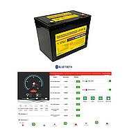 Акумулятор SSE LiFePo4 12.8V 50Ah (SD1250), фото 11
