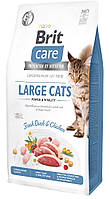 Сухой корм для кошек крупных пород Brit Care Cat GF Large cats Power & Vitality 2 кг (курица и утка)