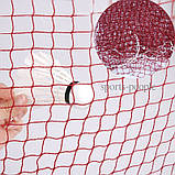 Сітка для бадмінтона ZT Badminton net, розміри: 6*0.78 м, бурдовий колір, фото 6