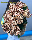 Хризантема Vienna Copper (Віденська Мідь) однолова, великобарвна садж, фото 4