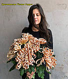 Хризантема Vienna Copper (Віденська Мідь) однолова, великобарвна садж, фото 3