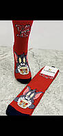 Шкарпетки з вишивкою Том і Джеррі