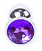 Серія Anal Plug Boss - ювелірні срібні штепсельні вилки Purple S, BS6400009, фото 8