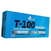 T-100 Hardcore 120капс (08283002)