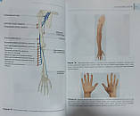 ОБраєн Посібник з дослідження периферичної нервової системи Посібник з неврології, фото 4