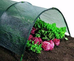 Затінююча сітка Agreen 60% (5х50м), городня сітка від сонця