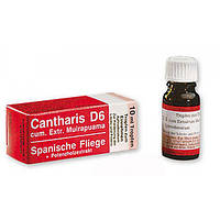 Краплі збуджувальні CANTHARIS D6, 10 ml