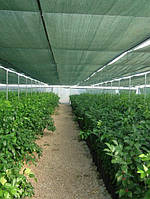 Затіняюча сітка Agreen 60% (10х50м) / огородня сітка від сонця