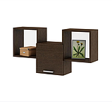 Полиця навісна на стіну MebelProff Kub 6 з фасадом, книжкова полиця, декоративна полиця в кімнату, будинок., фото 4