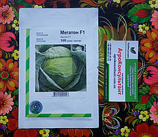 Насіння капусти Мегатон F1 (Bejo Zaden / Агропак+), 100 насінин — середньостигла (100-110 днів), білокачанна