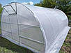 Теплиця "Говерла" 3х4м, труба 30х30мм з плівкою 200 мкн, фото 4