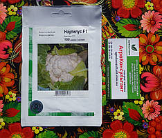 Насіння цвітної капусти Наутілус F1 (Clause, Агропак+), 100 насінин — рання (70-75 днів), жаростійка