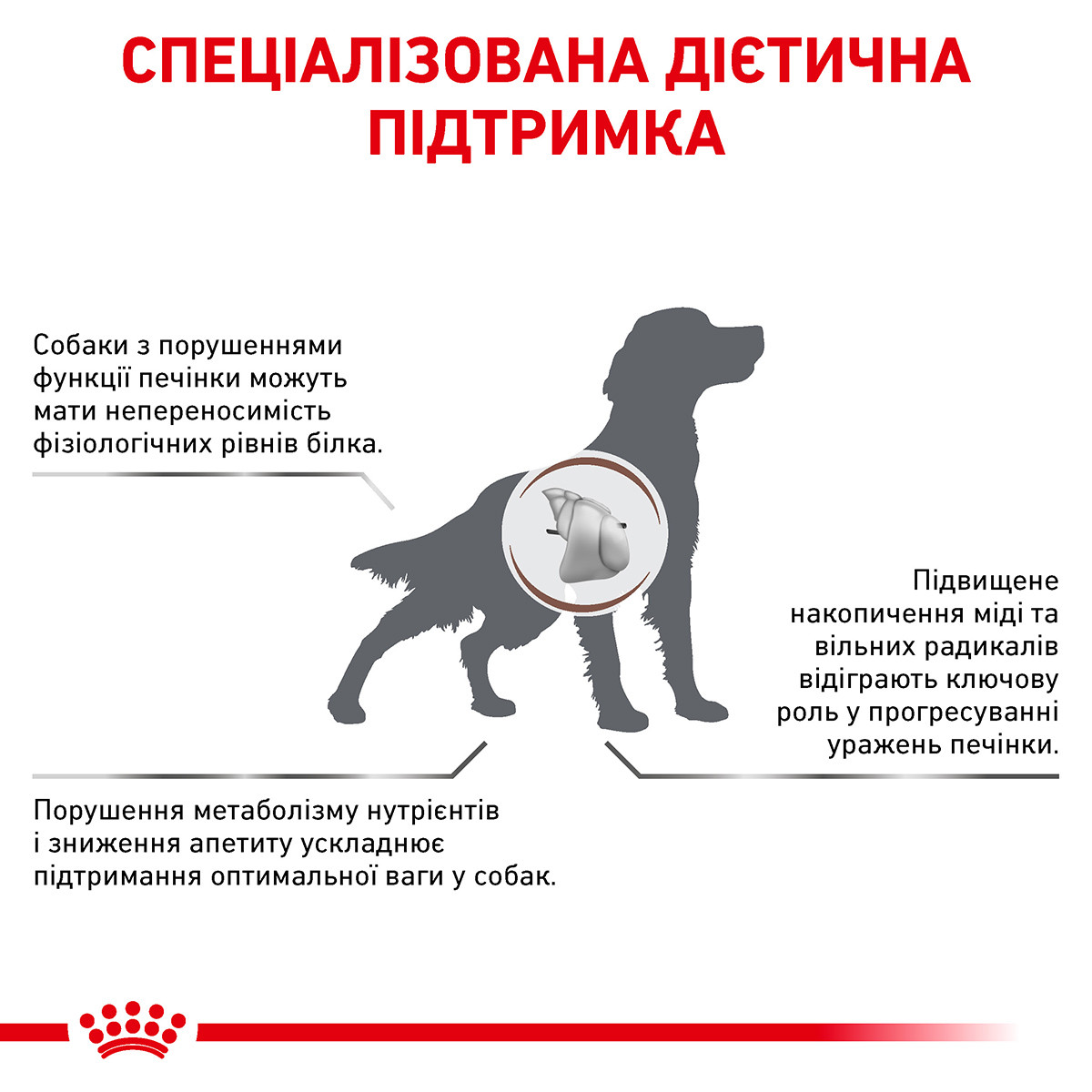 Корм для собаки при заболеваниях печени Royal Canin Hepatic 1,5 кг - фото 3 - id-p55350207