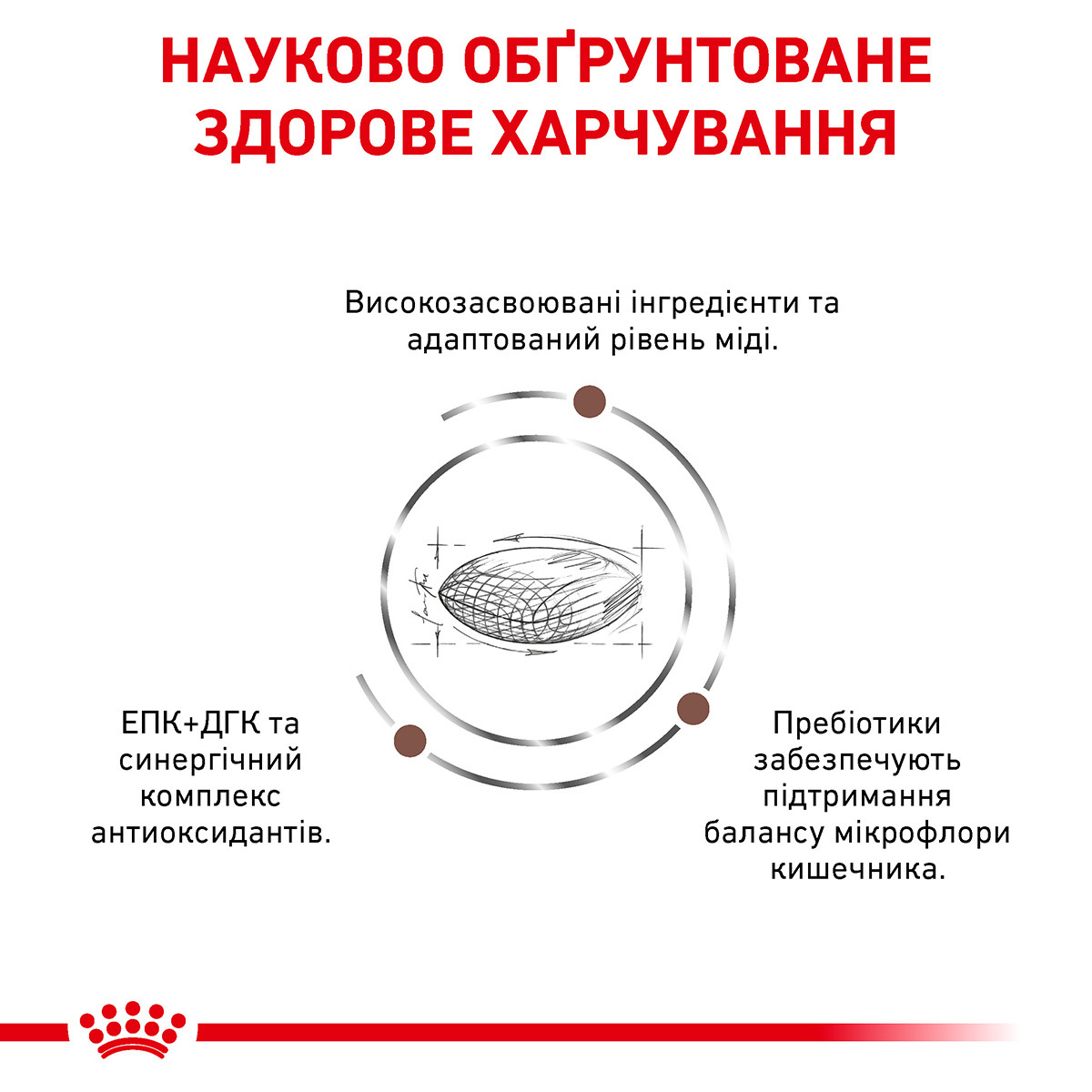 Корм для собаки при заболеваниях печени Royal Canin Hepatic 1,5 кг - фото 4 - id-p55350207